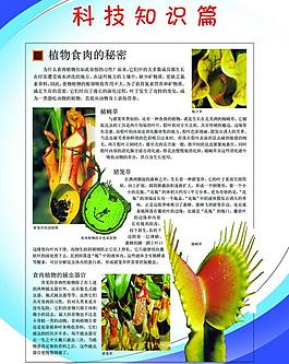 學校制度圖片