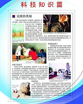 學校制度圖片