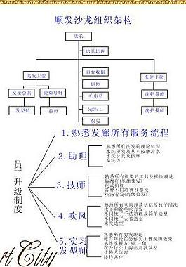 发廊升级制度图片