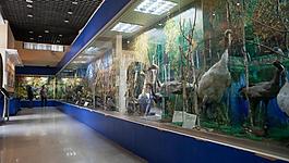 沈陽世博園 科普館圖片