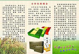 大米三折頁(yè)圖片