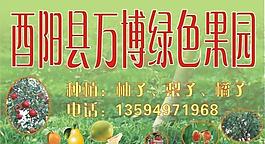 绿色果园广告牌图片