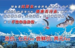 鯡魚廣發