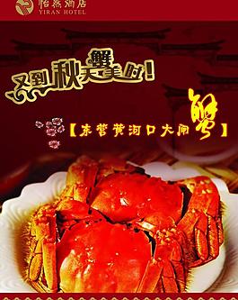 大閘蟹圖片
