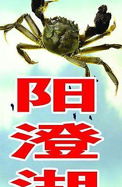 大閘蟹圖片