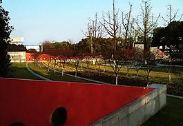 公園圖片