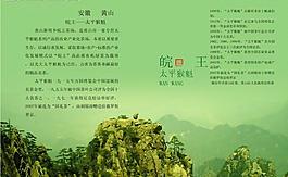 茶三折頁圖片