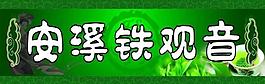鐵觀音圖片