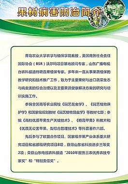 展板設(shè)計(jì)模板 昆蟲2圖片