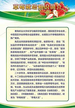 展板設計模板 草莓圖片