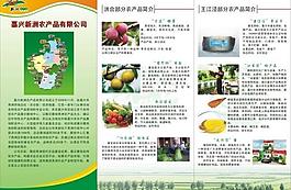 农产品三折页图片