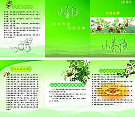 山茶油三折頁圖片