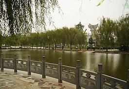 綠柳蔭蔭圖片