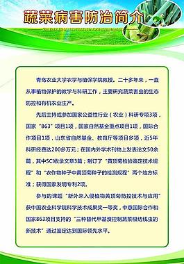 展板設(shè)計(jì)模板 昆蟲2圖片