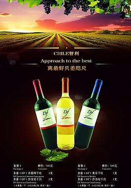 酒吧紅酒海報