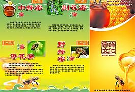 天曼蜂業(yè)三折頁(yè)圖片