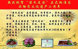梁皮凍海報設計