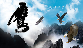 鷹擊長空