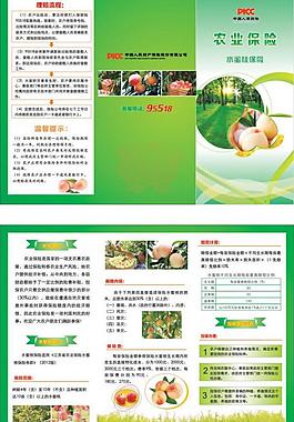 農(nóng)業(yè)保險(xiǎn)圖片