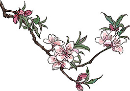 中國工筆畫桃花
