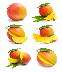 芒果素材psd