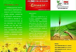 中國人保三折頁圖片