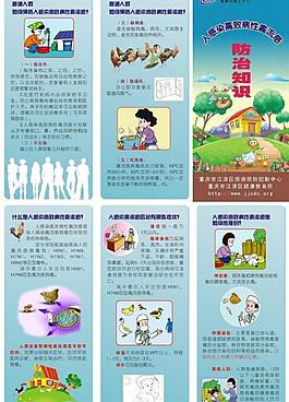 禽流感宣傳圖片