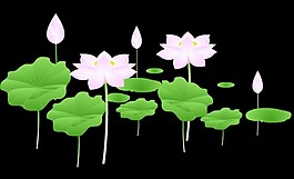 荷花擺動(dòng)flash