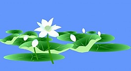 荷花動畫素材