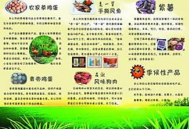黃色 宣傳單 三折頁 農副產品 雞蛋 雞圖片