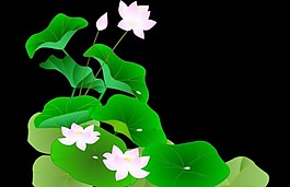 荷花flash素材