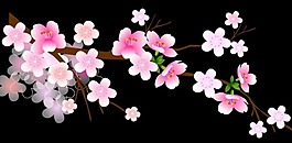 梅花透明flash素材