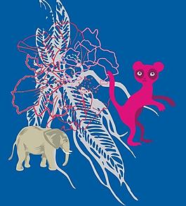 動物印花圖片