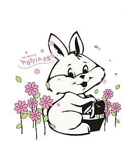 兔子圖片