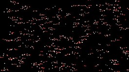 抽象動態(tài)視頻背景模板下載