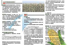 玉米農業保險彩頁圖片