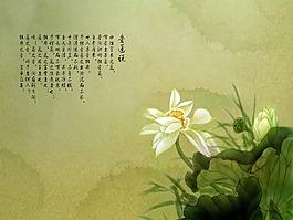 淡雅風(fēng)格荷花psd