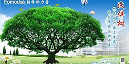 苹果树图片