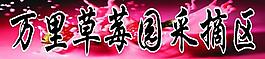 草莓园图片