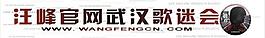 汪峰歌迷會圖片
