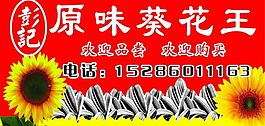 瓜子店图片