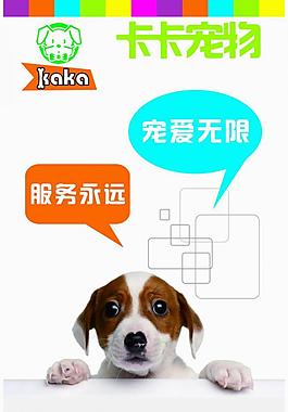 寵物海報創(chuàng)意設(shè)計圖片