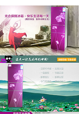 淘宝素材PSD分层高清描述模板冰箱模板