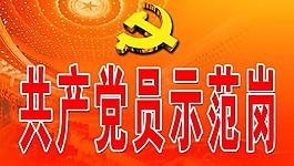 共產(chǎn)黨員示范崗圖片