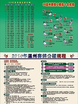 飞鹏赛鸽图片