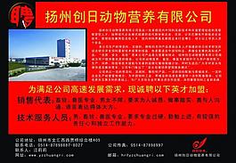廣告設計圖片