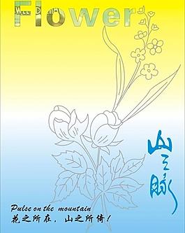 底紋花圖片