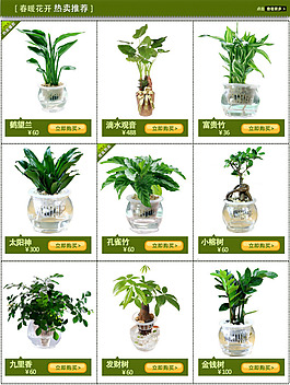 首頁類目圖