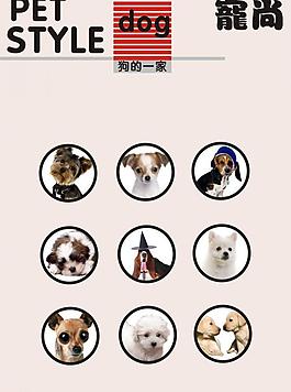 狗狗雜志圖片