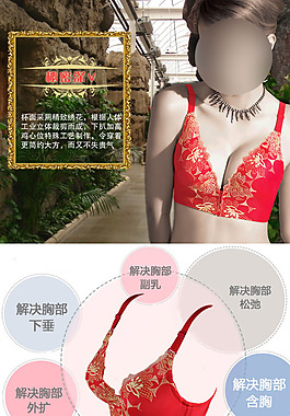 淘寶素材PSD分層高清描述模板文胸模板